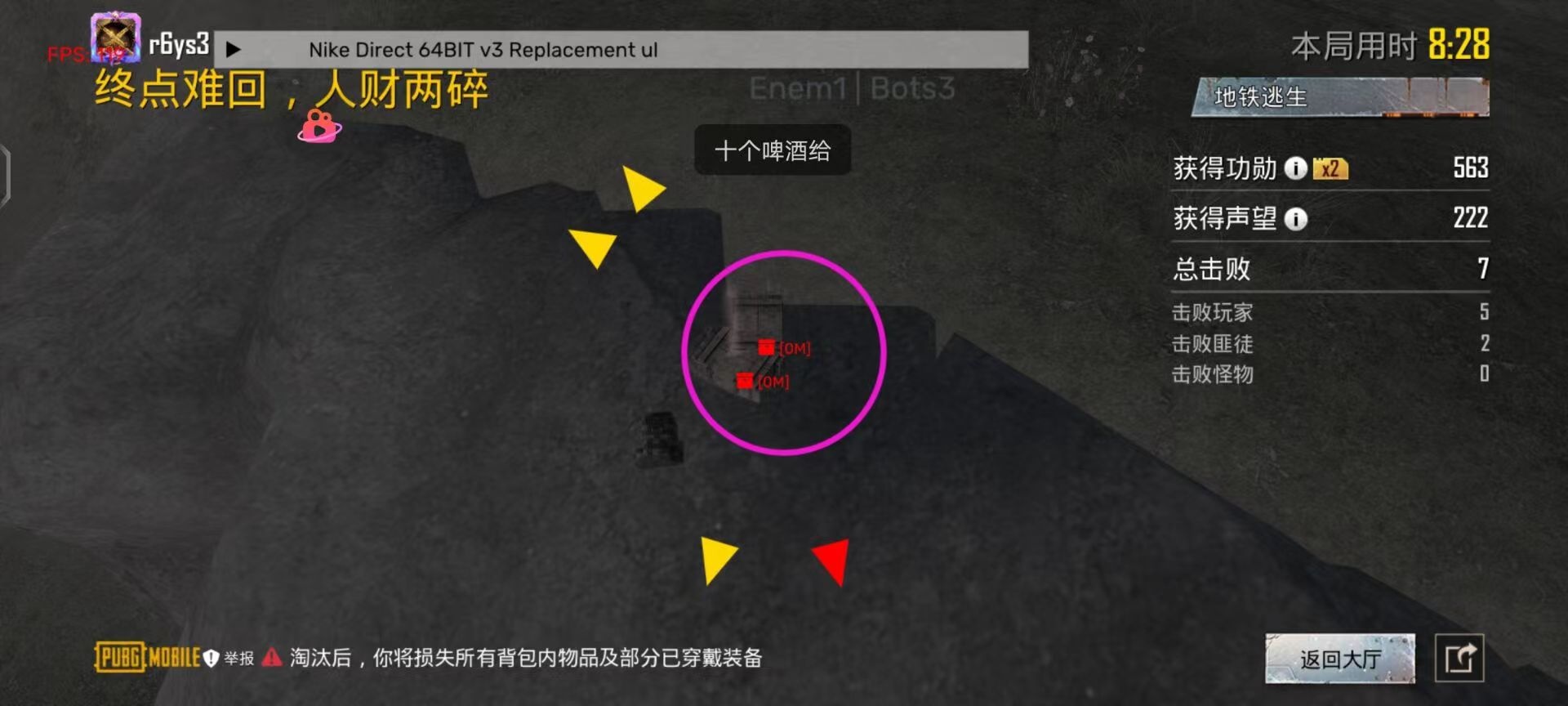 和平精英「小提琴」直装辅助